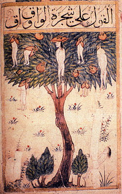 画像：ワークワークの樹（『ブルハーンの書』第41葉）